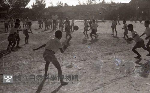 1950至2006年臺灣常民生活藏品圖，第1張