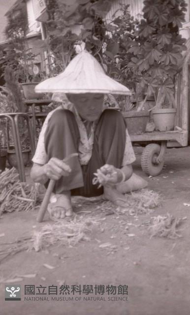 1950至2006年臺灣常民生活藏品圖，第1張