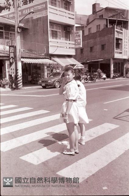 1950至2006年臺灣常民生活藏品圖，第1張