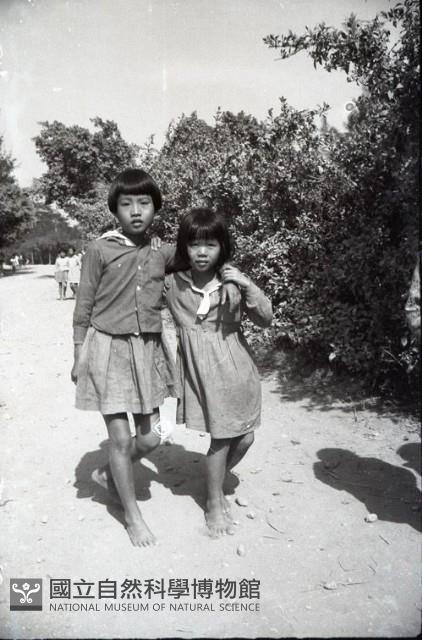 1950至2006年台灣常民生活藏品圖，第1張