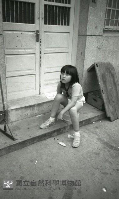 1950至2006年臺灣常民生活藏品圖，第1張