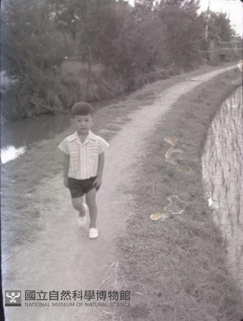 1950至2006年臺灣常民生活藏品圖，第1張