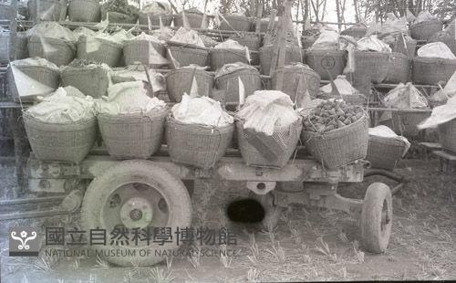 1950至2006年臺灣常民生活藏品圖，第1張