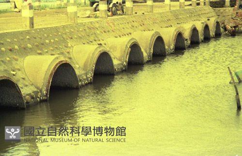 1950至2006年臺灣常民生活藏品圖，第1張