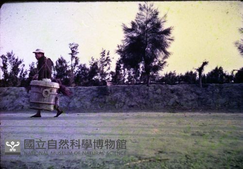 1950至2006年臺灣常民生活藏品圖，第1張