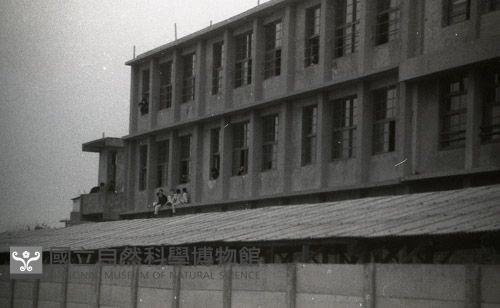 1950至2006年臺灣常民生活藏品圖，第1張