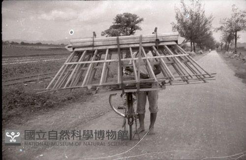 1950至2006年臺灣常民生活藏品圖，第1張