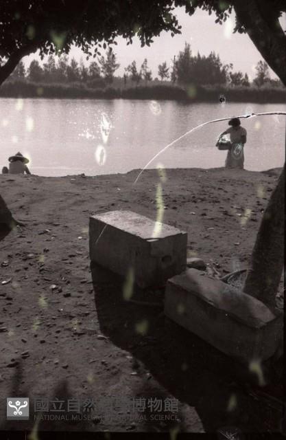 1950至2006年臺灣常民生活藏品圖，第1張