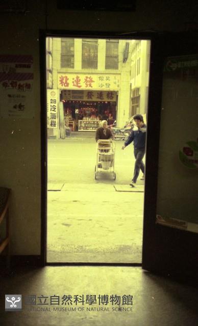 1950至2006年臺灣常民生活藏品圖，第1張