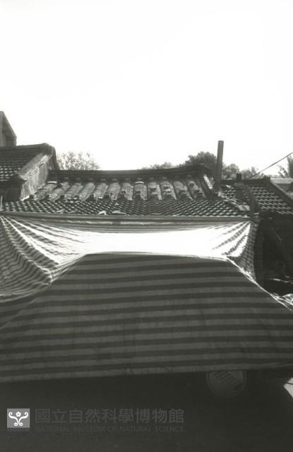 1950至2006年臺灣常民生活藏品圖，第1張