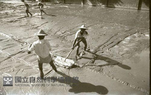 1950至2006年臺灣常民生活藏品圖，第1張