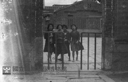 1950至2006年臺灣常民生活藏品圖，第1張