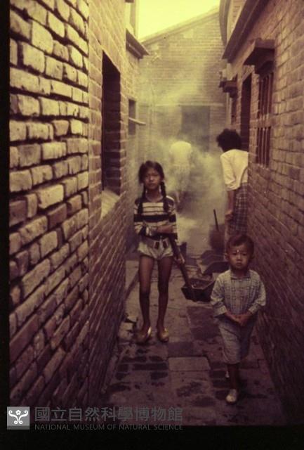 1950至2006年臺灣常民生活藏品圖，第1張