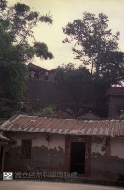 1950至2006年臺灣常民生活藏品圖，第1張