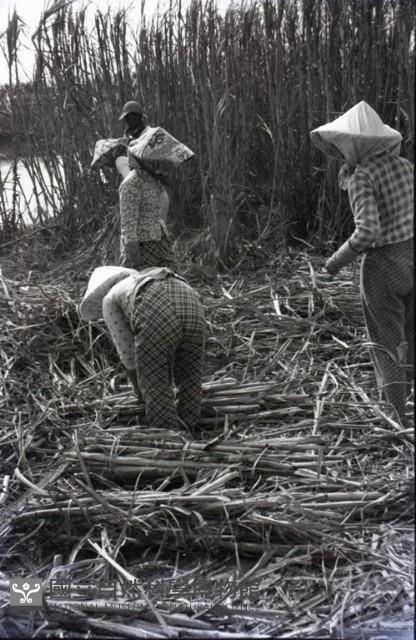 1950至2006年臺灣常民生活藏品圖，第1張