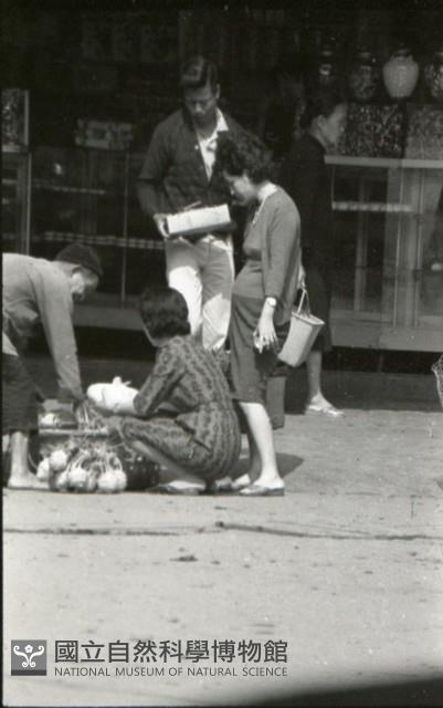 1950至2006年臺灣常民生活藏品圖，第1張