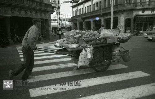 1950至2006年臺灣常民生活藏品圖，第1張