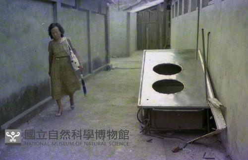 1950至2006年臺灣常民生活藏品圖，第1張