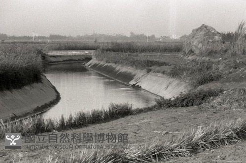 1950至2006年台灣常民生活藏品圖，第1張