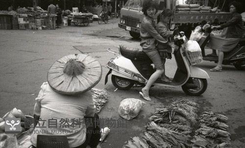 1950至2006年臺灣常民生活藏品圖，第1張