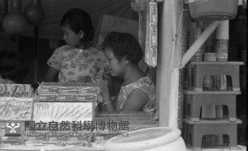 1950至2006年臺灣常民生活藏品圖，第1張