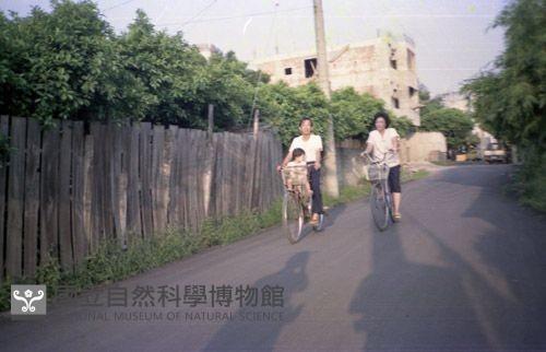 1950至2006年臺灣常民生活藏品圖，第1張