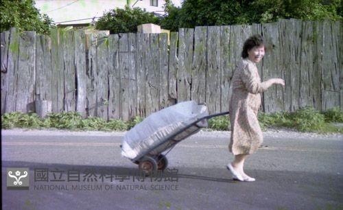1950至2006年臺灣常民生活藏品圖，第1張