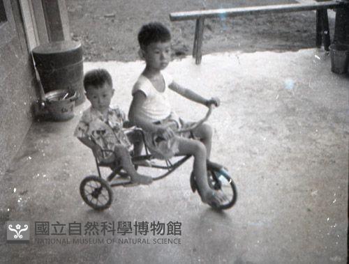 1950至2006年台灣常民生活藏品圖，第1張