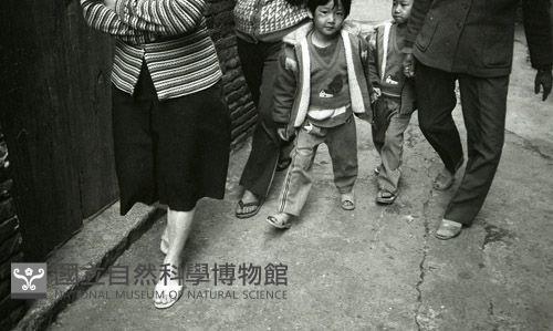 1950至2006年臺灣常民生活藏品圖，第1張