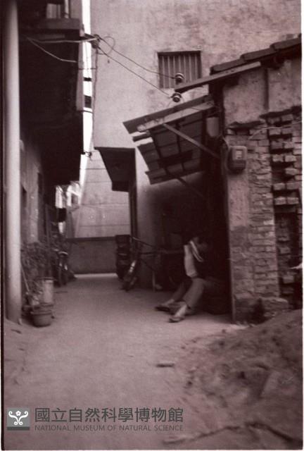 1950至2006年臺灣常民生活藏品圖，第1張