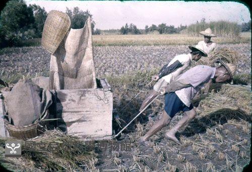 收打穀機（1950至2006年臺灣常民生活）藏品圖，第1張