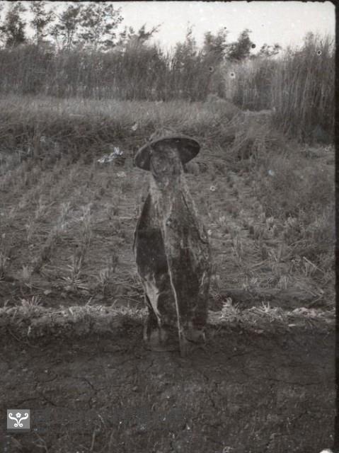 1950至2006年臺灣常民生活藏品圖，第1張