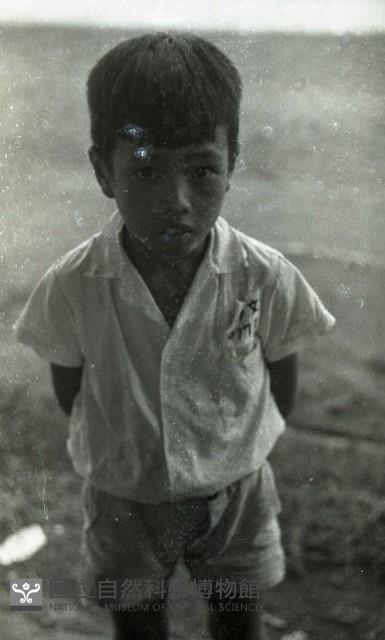 1950至2006年臺灣常民生活藏品圖，第1張