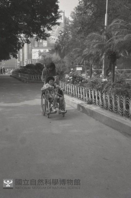 1950至2006年臺灣常民生活藏品圖，第1張