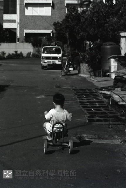 1950至2006年臺灣常民生活藏品圖，第1張