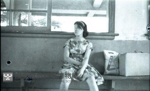 1950至2006年臺灣常民生活藏品圖，第1張