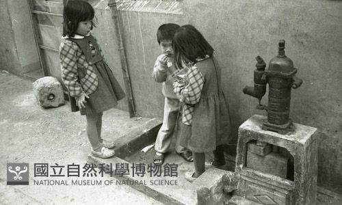 1950至2006年臺灣常民生活藏品圖，第1張