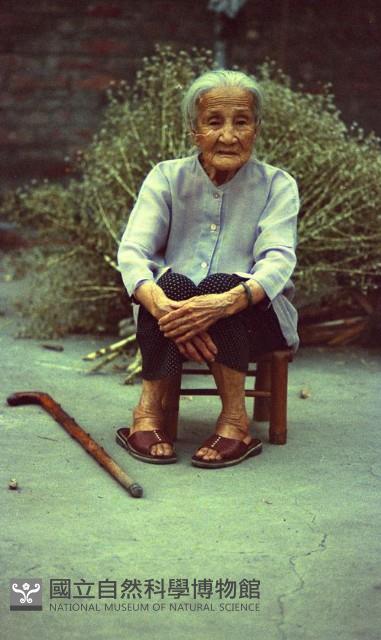 1950至2006年臺灣常民生活藏品圖，第1張
