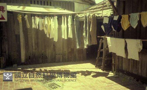 1950至2006年臺灣常民生活藏品圖，第1張