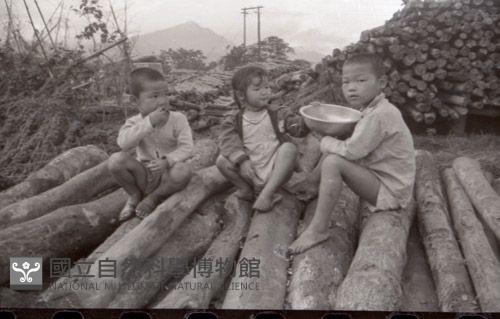 1950至2006年臺灣常民生活藏品圖，第1張