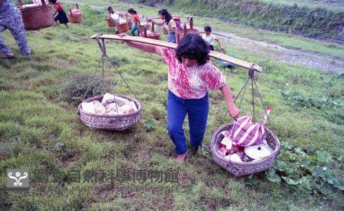 彰化臺西祭濁水溪王（1950至2006年臺灣常民生活）藏品圖，第1張