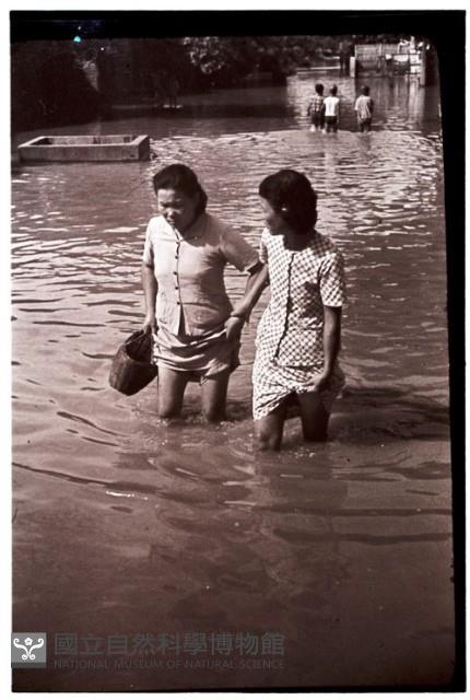 1950至2006年臺灣常民生活藏品圖，第1張