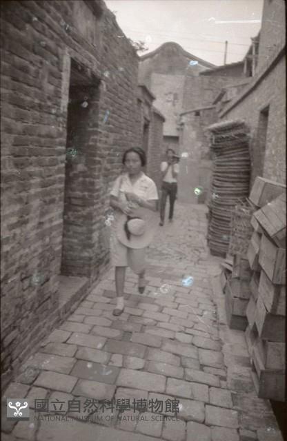 1950至2006年臺灣常民生活藏品圖，第1張