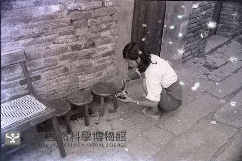 1950至2006年臺灣常民生活藏品圖，第1張