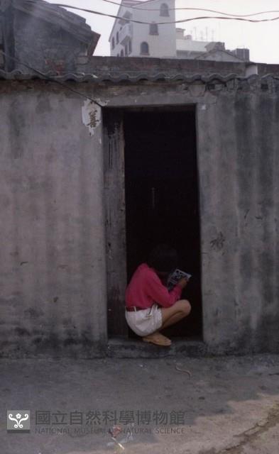 1950至2006年臺灣常民生活藏品圖，第1張