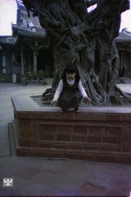 1950至2006年臺灣常民生活藏品圖，第1張