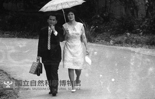 1950至2006年臺灣常民生活藏品圖，第1張
