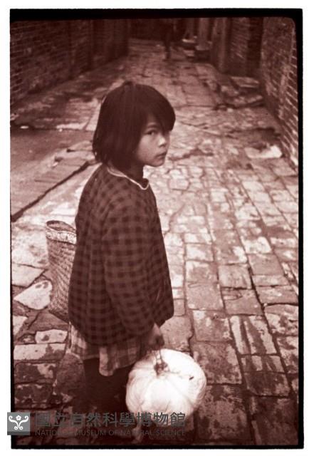 1950至2006年臺灣常民生活藏品圖，第1張