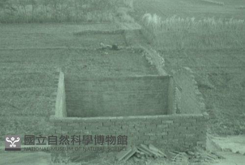 1950至2006年台灣常民生活藏品圖，第1張