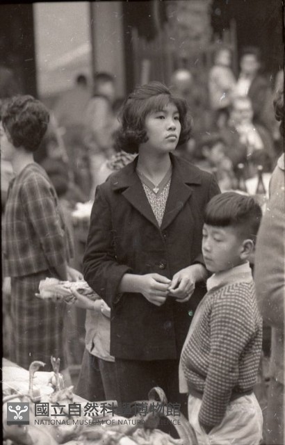 1950至2006年臺灣常民生活藏品圖，第1張